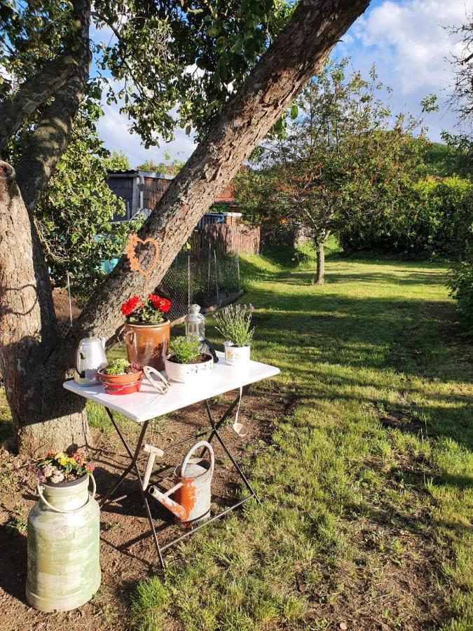 Ferienhaus "Am Staufenberg" 블랑켄부르크 외부 사진