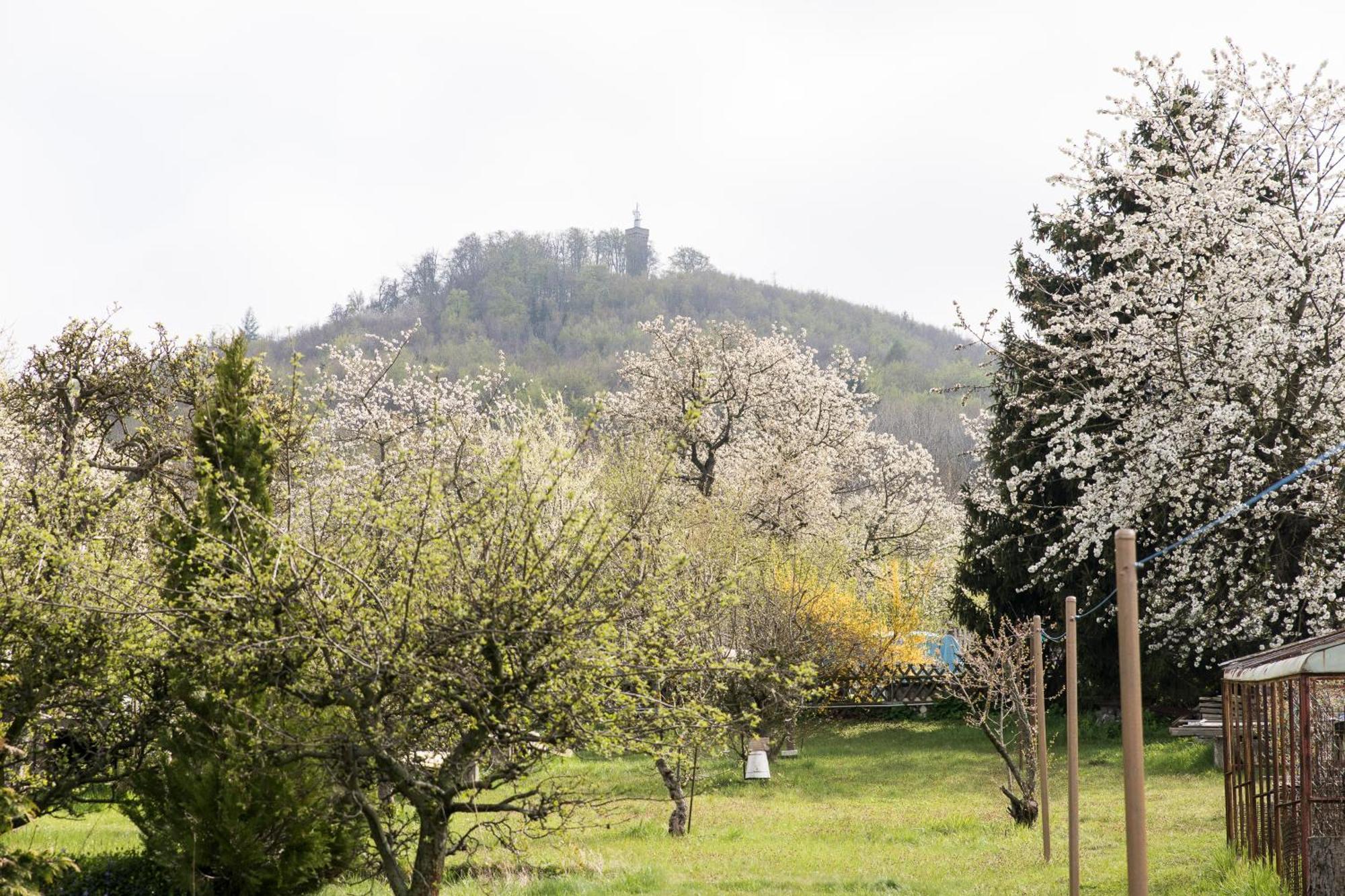 Ferienhaus "Am Staufenberg" 블랑켄부르크 외부 사진